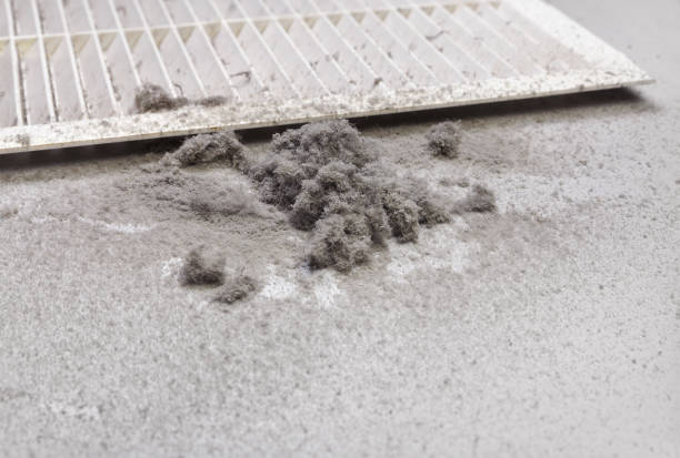 Best Local Air Duct Cleaning Services  in Spruce Pine, NC